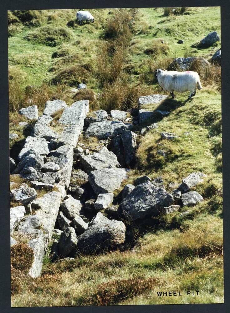 An image from the Dartmoor Trust Archive