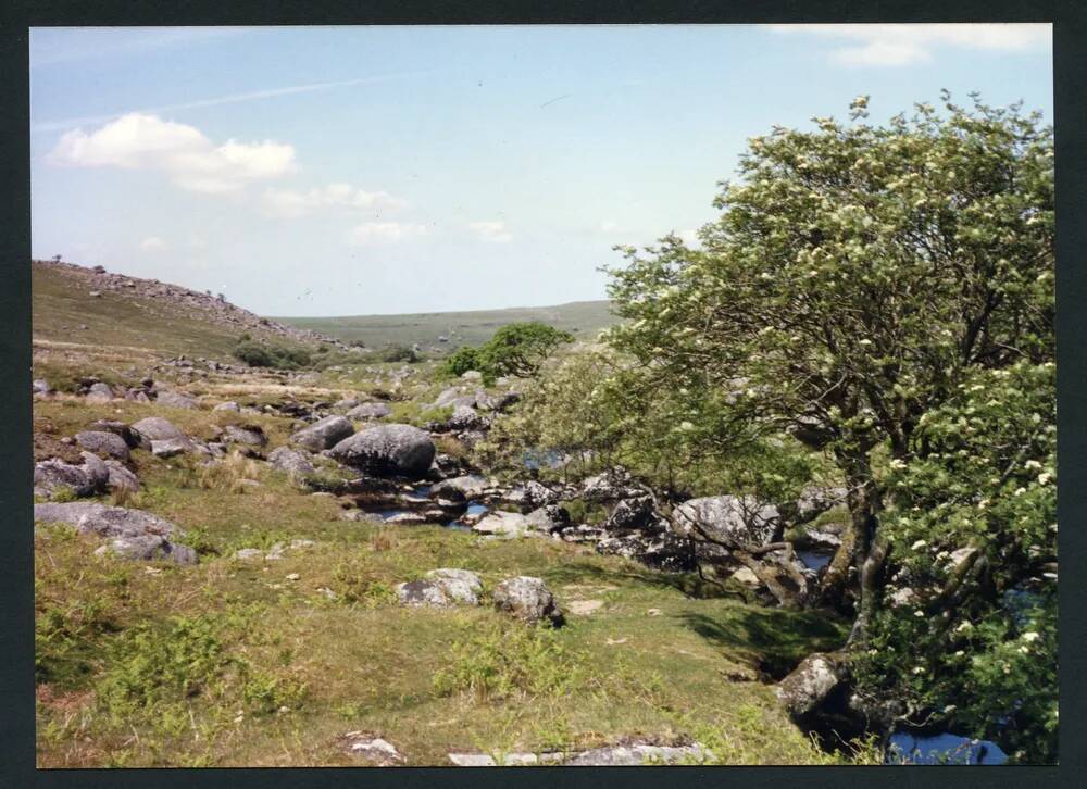 An image from the Dartmoor Trust Archive