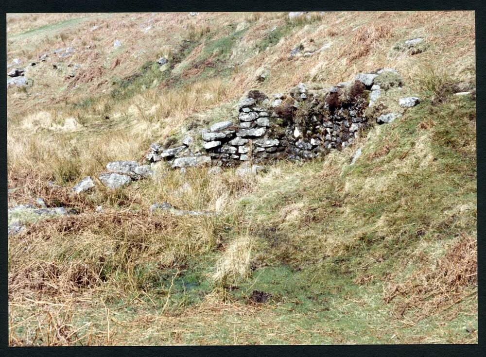 An image from the Dartmoor Trust Archive