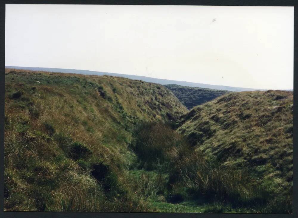 6/52 T. Gert near Huntingdon Warren 4/9/1991