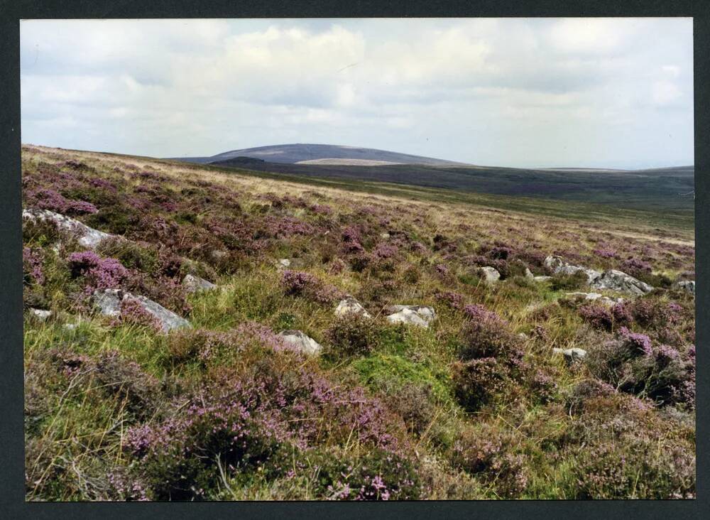 An image from the Dartmoor Trust Archive