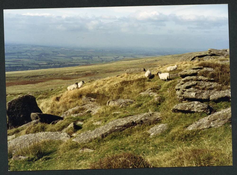 An image from the Dartmoor Trust Archive