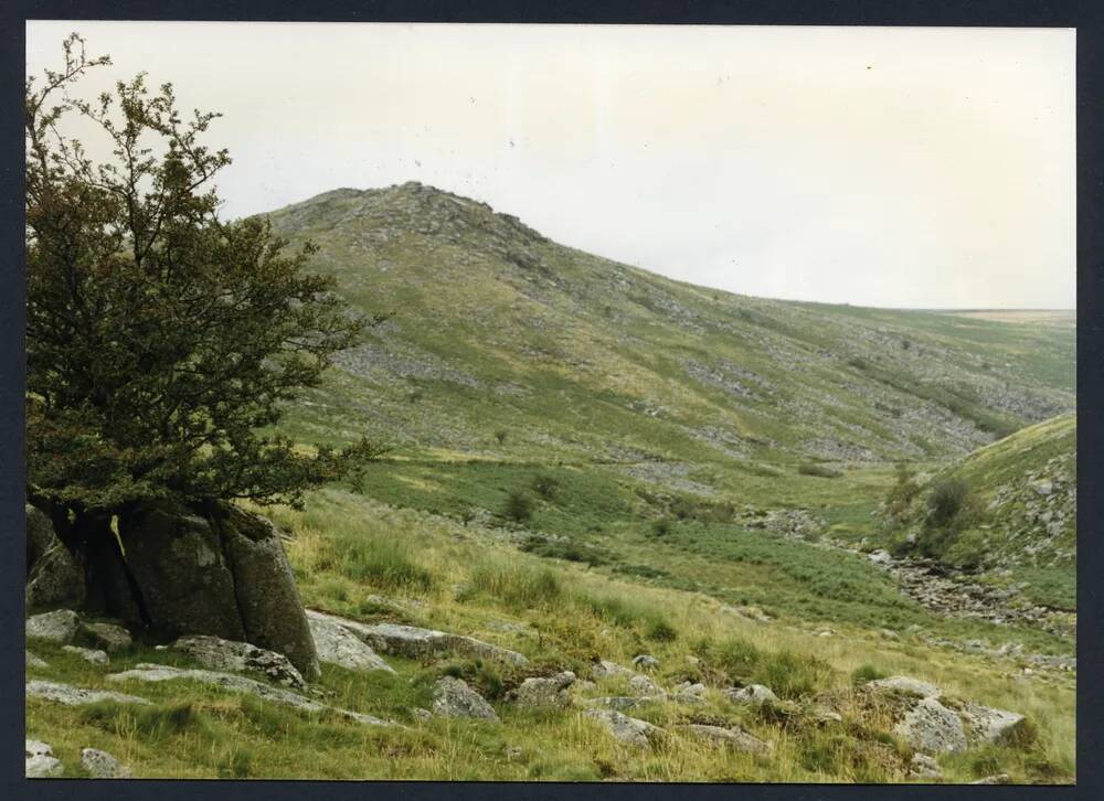 An image from the Dartmoor Trust Archive