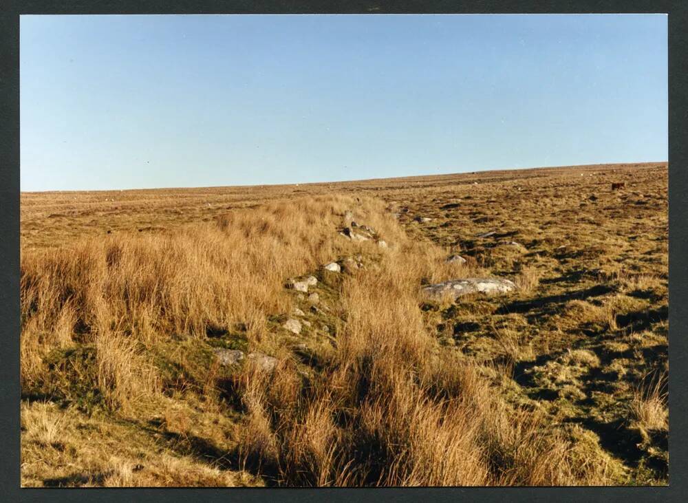 An image from the Dartmoor Trust Archive