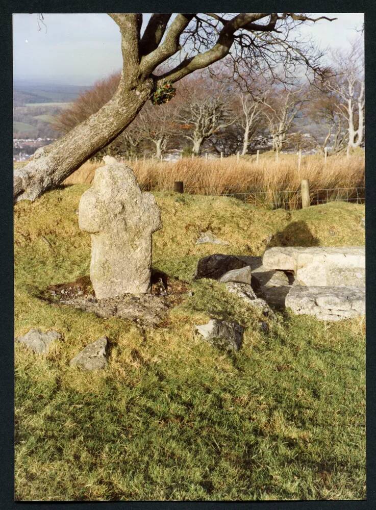 An image from the Dartmoor Trust Archive