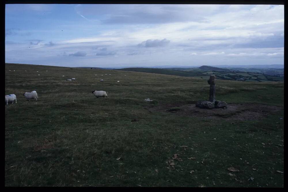 Spurrells cross