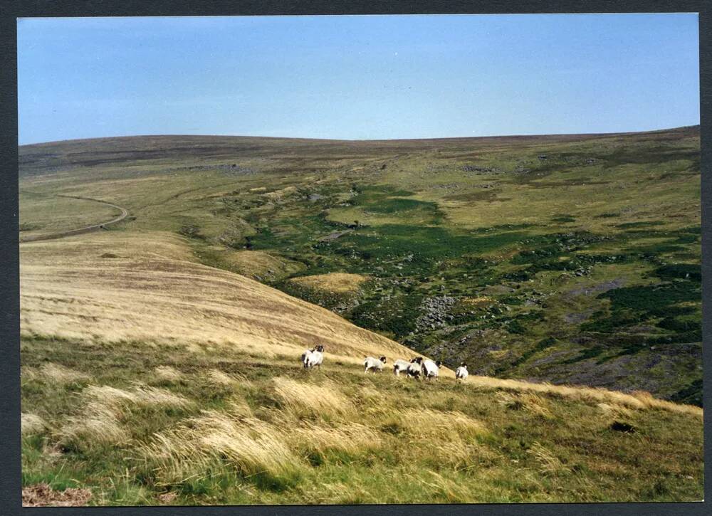 An image from the Dartmoor Trust Archive