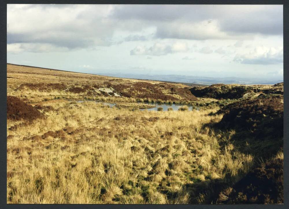 7/9 Clay workings source of Bala Brook 28/2/1991