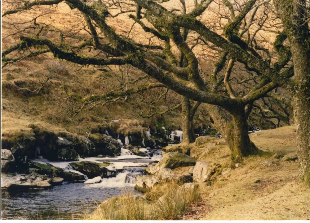 An image from the Dartmoor Trust Archive