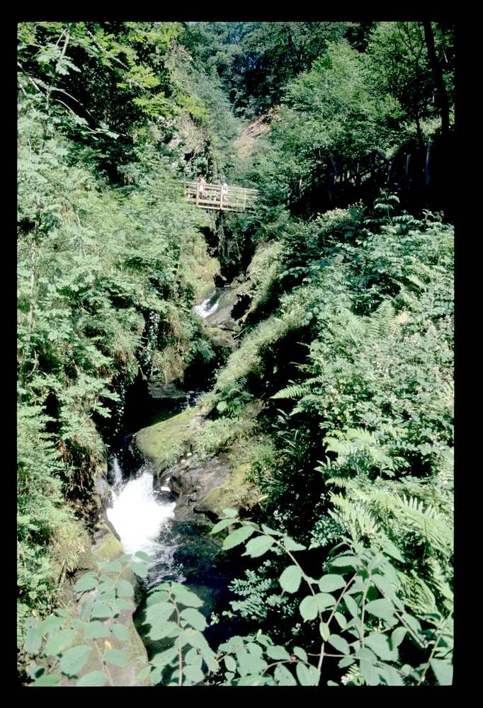 Lydford Gorge