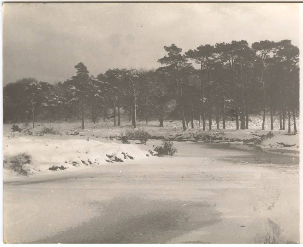 An image from the Dartmoor Trust Archive