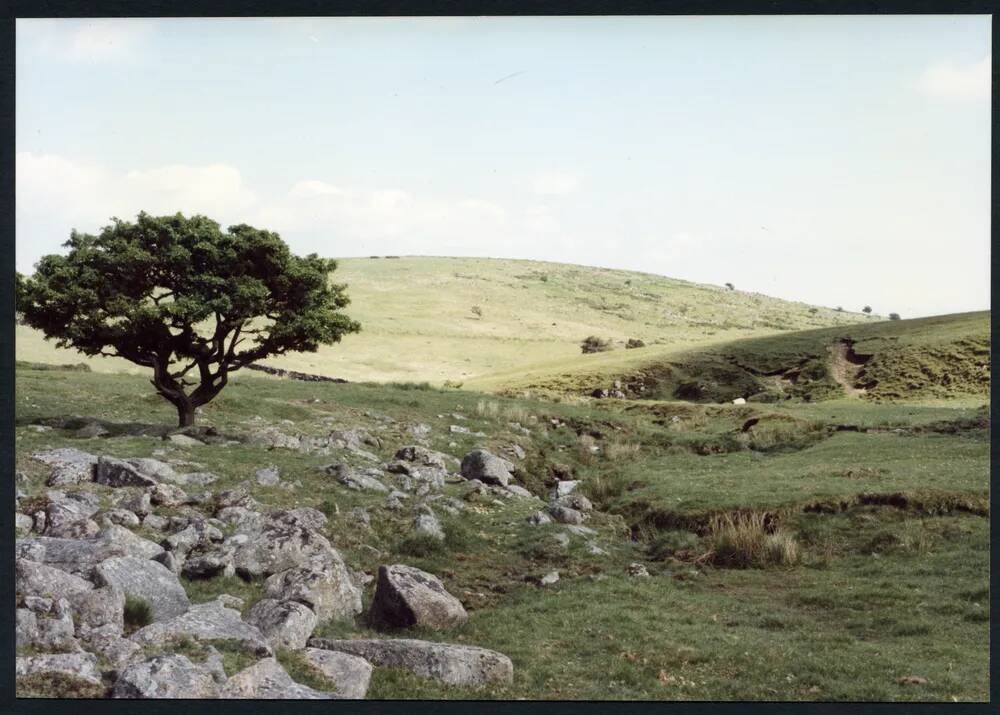 5/35 E Glazebrook to Codringdon Ball 20/6/1991