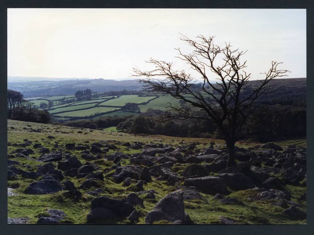 An image from the Dartmoor Trust Archive