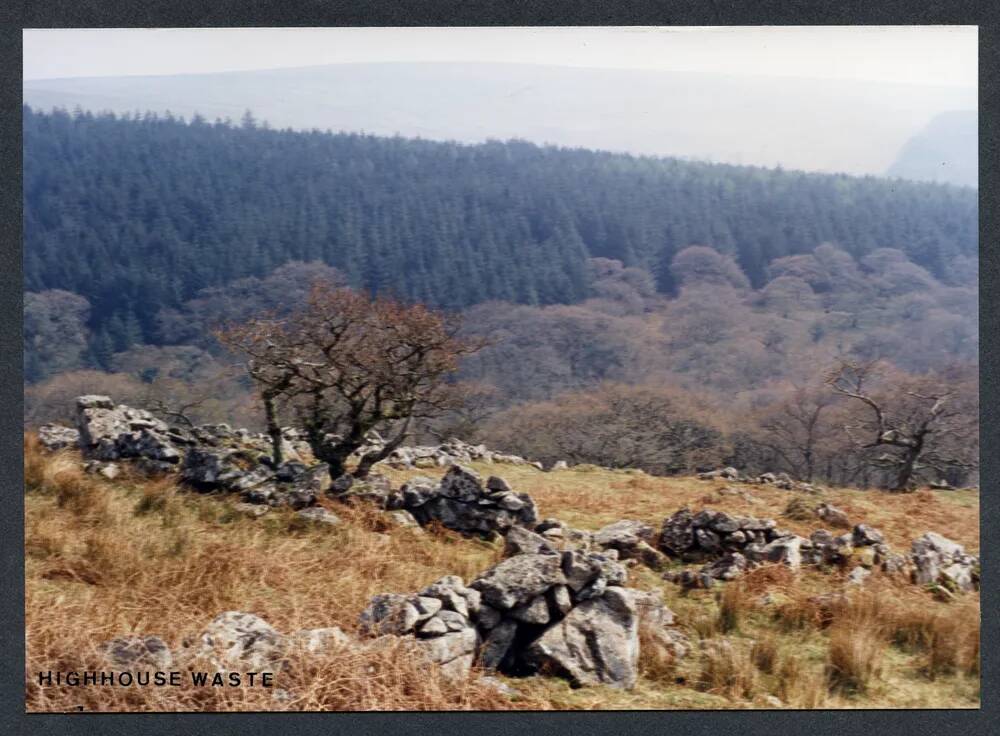 An image from the Dartmoor Trust Archive