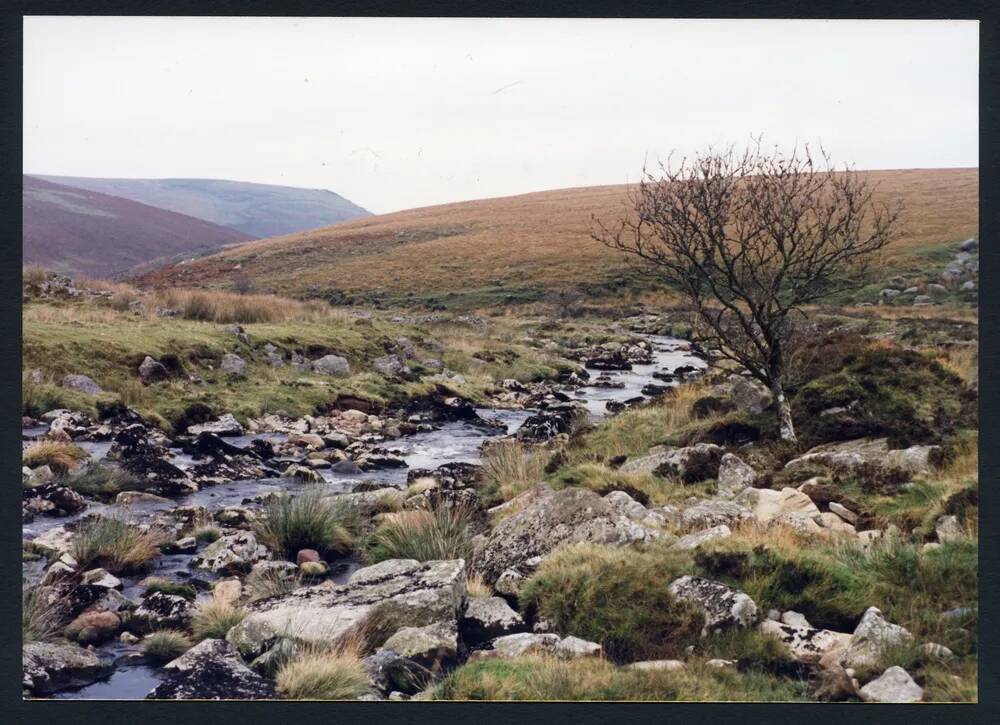 An image from the Dartmoor Trust Archive