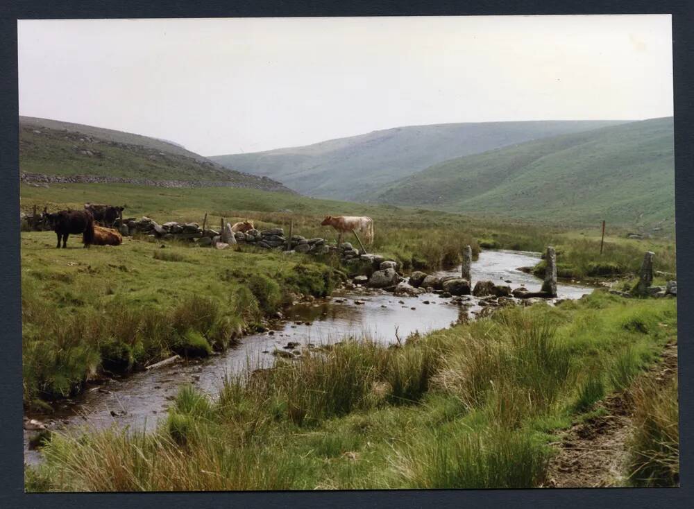 An image from the Dartmoor Trust Archive