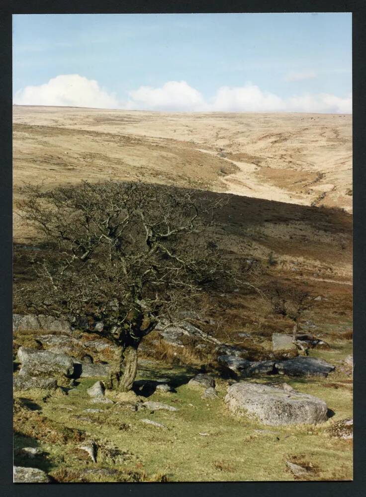 7/11 Above Middle Brook North to Bala Brook 7/3/1991