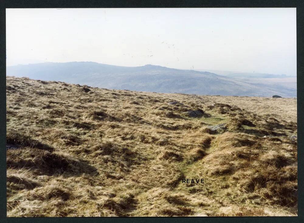 An image from the Dartmoor Trust Archive