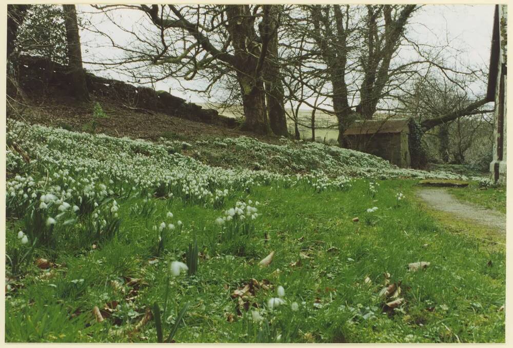 An image from the Dartmoor Trust Archive