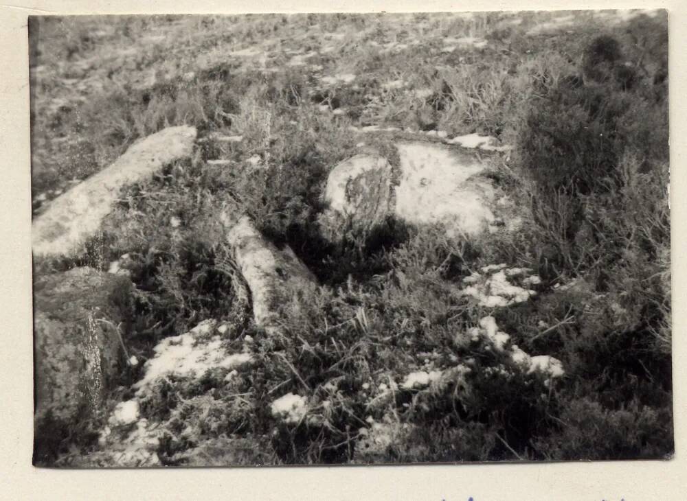 An image from the Dartmoor Trust Archive