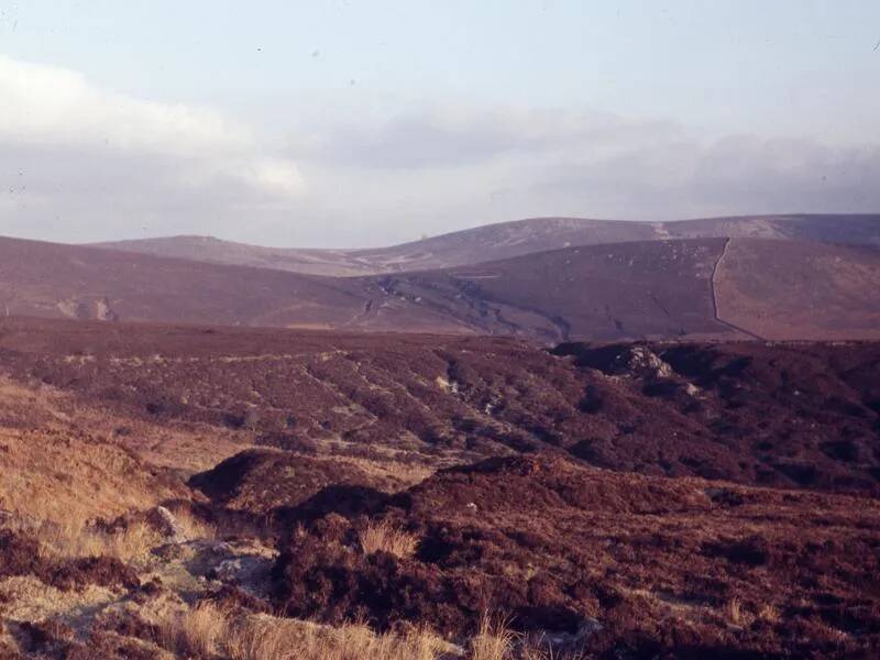 An image from the Dartmoor Trust Archive