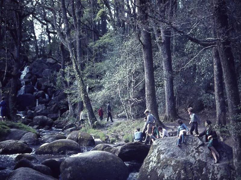 An image from the Dartmoor Trust Archive