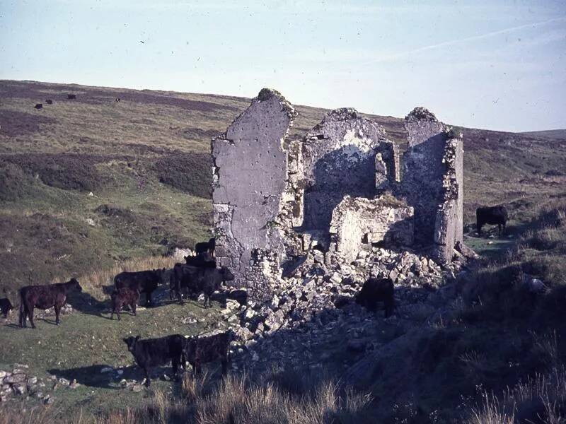 An image from the Dartmoor Trust Archive