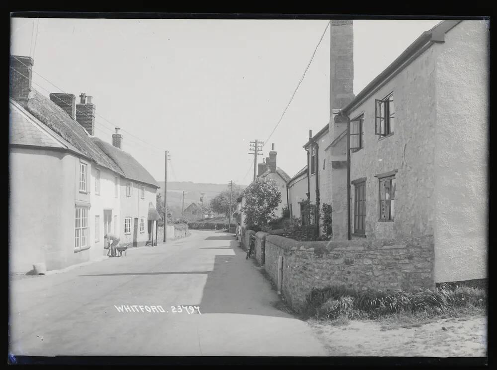 Whitford: street scene, Shute