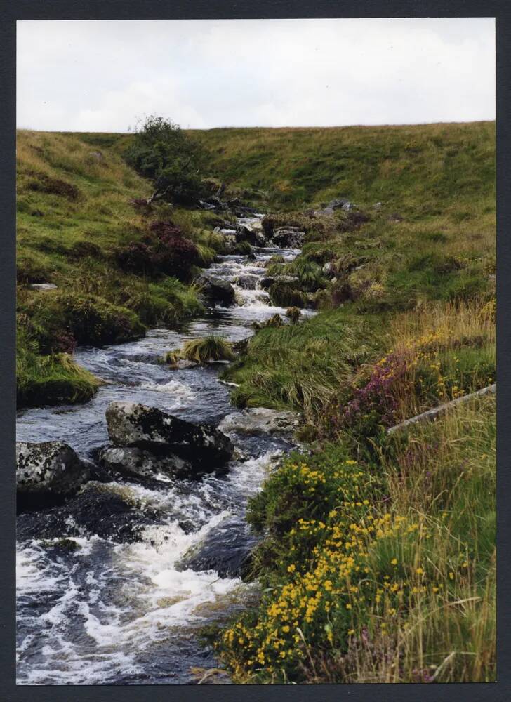 An image from the Dartmoor Trust Archive