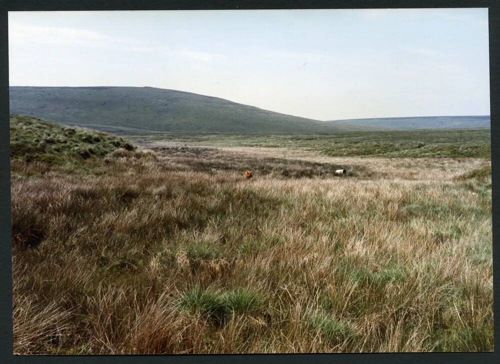 An image from the Dartmoor Trust Archive