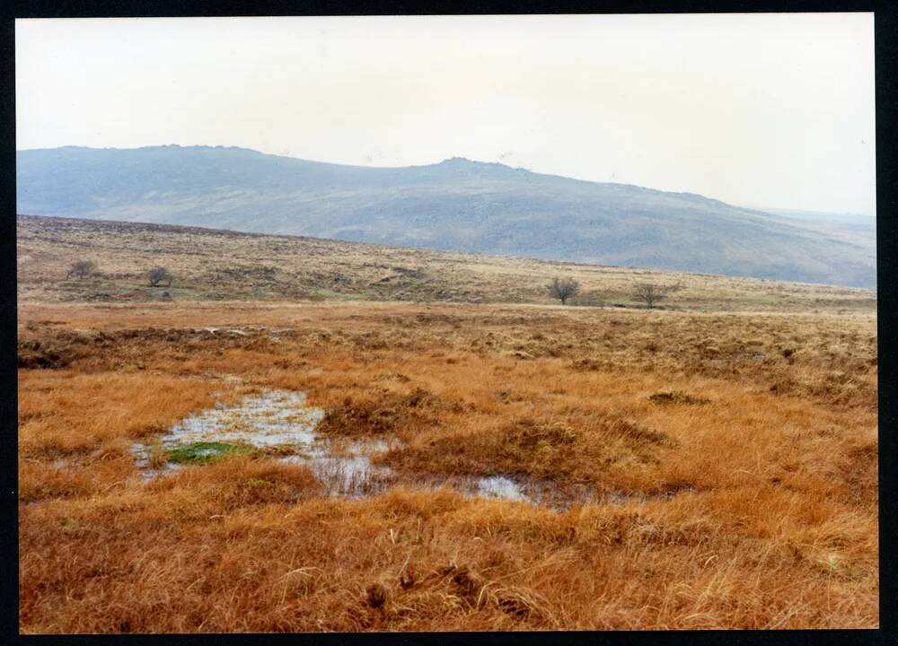 An image from the Dartmoor Trust Archive