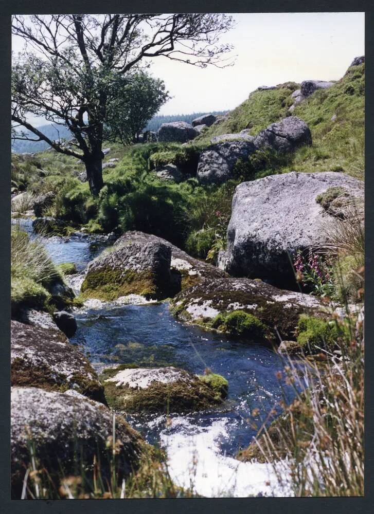 An image from the Dartmoor Trust Archive