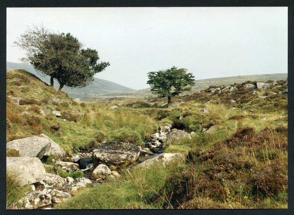 An image from the Dartmoor Trust Archive