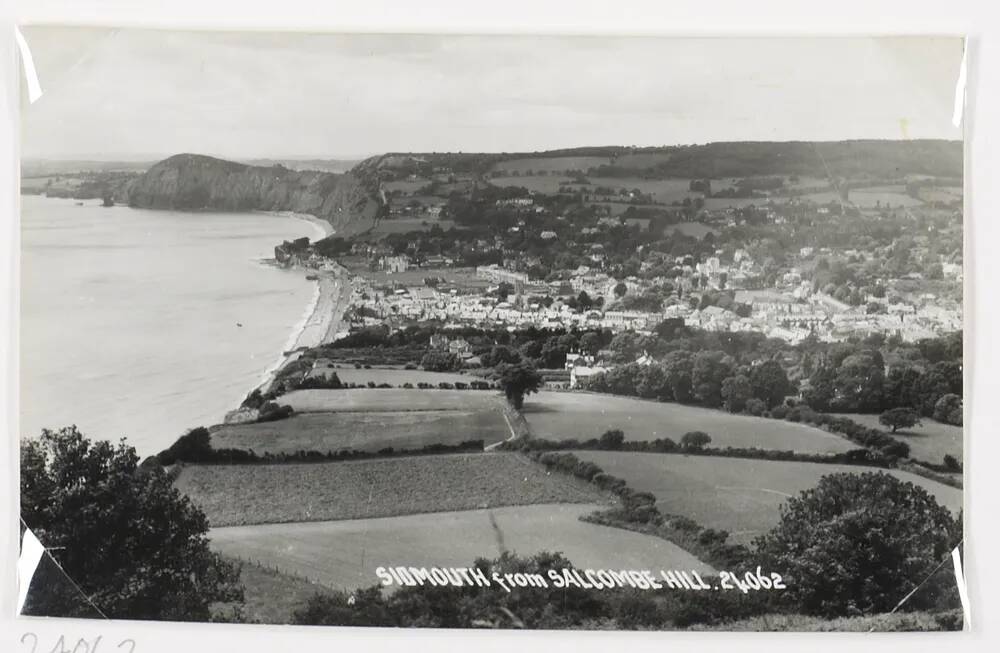 Sidmouth from Salcombe hill