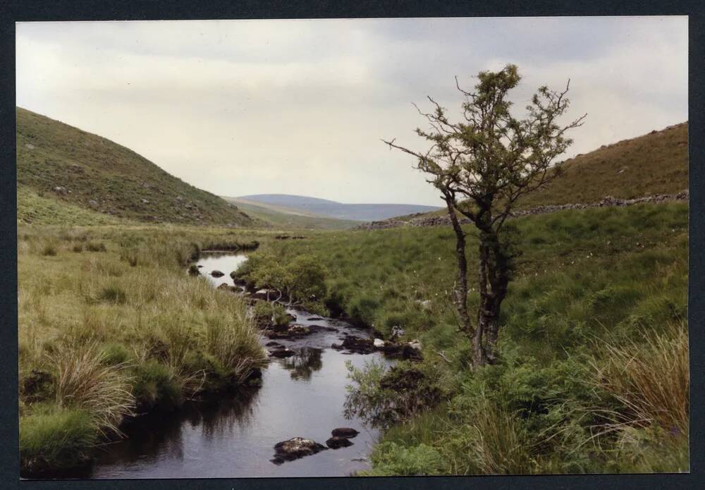 An image from the Dartmoor Trust Archive