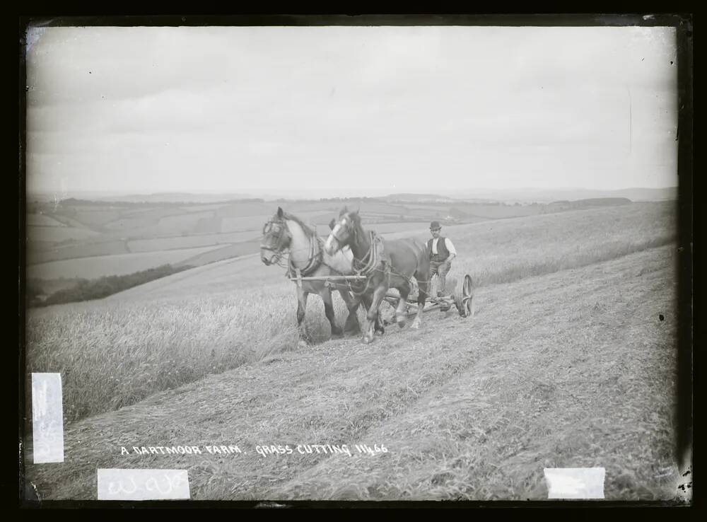 An image from the Dartmoor Trust Archive