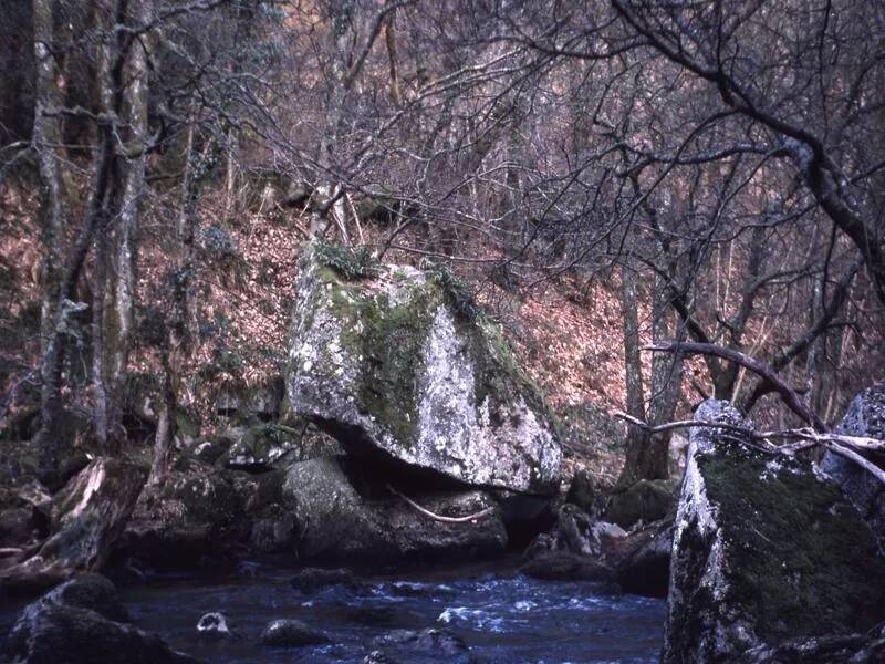 An image from the Dartmoor Trust Archive