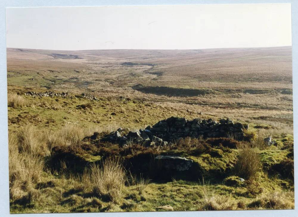 An image from the Dartmoor Trust Archive