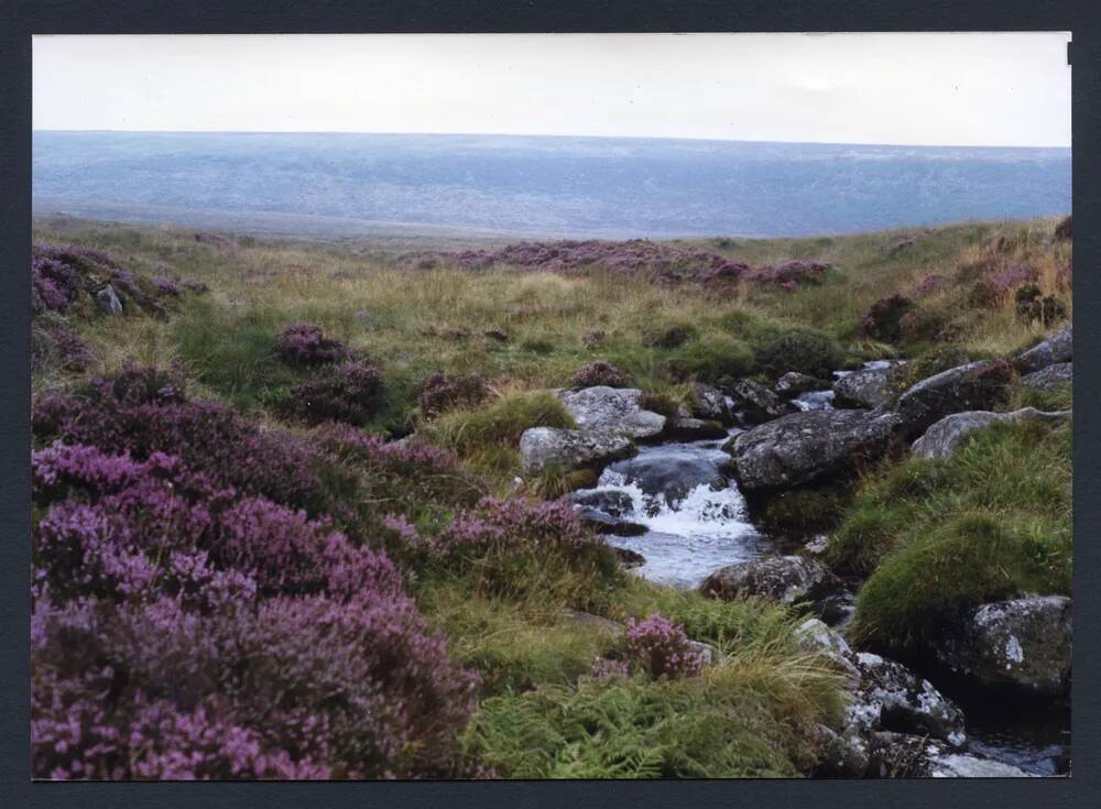 An image from the Dartmoor Trust Archive