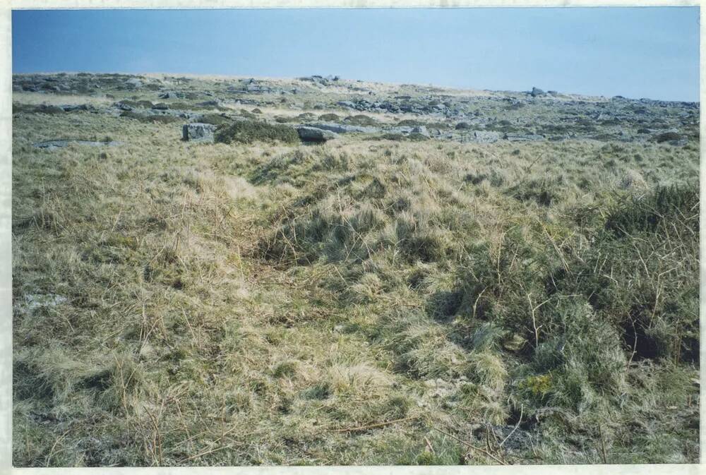 An image from the Dartmoor Trust Archive