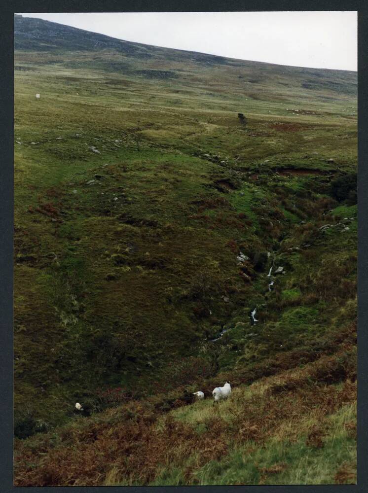 An image from the Dartmoor Trust Archive