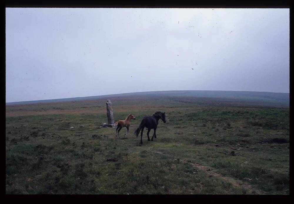 Horn's Cross