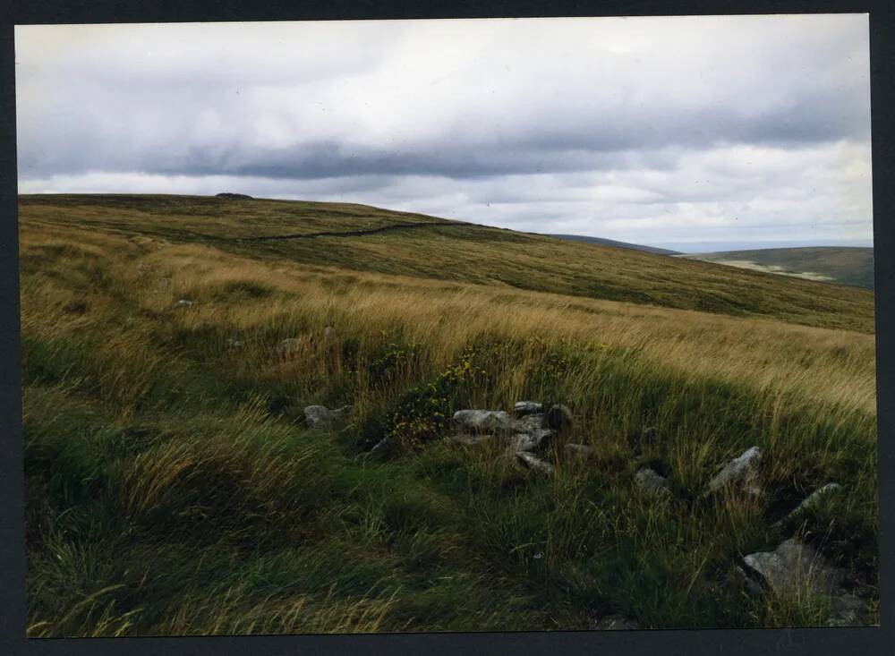 An image from the Dartmoor Trust Archive