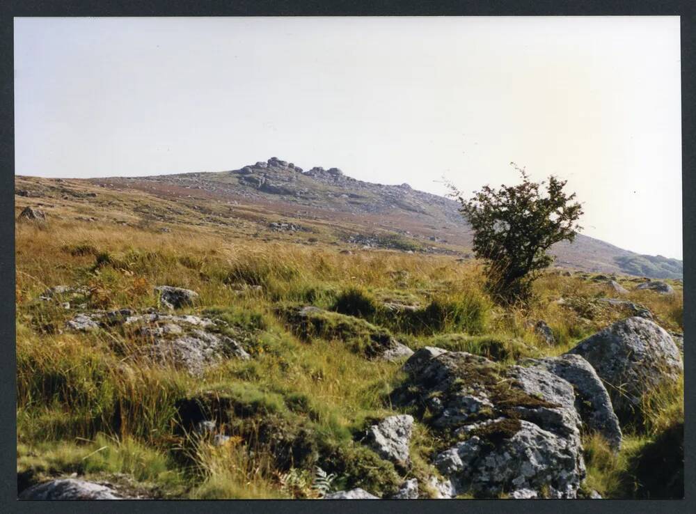 An image from the Dartmoor Trust Archive