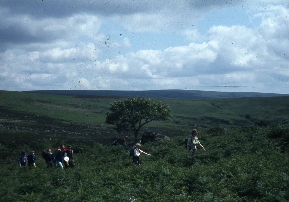 An image from the Dartmoor Trust Archive