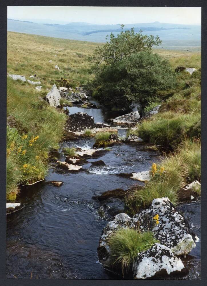 An image from the Dartmoor Trust Archive