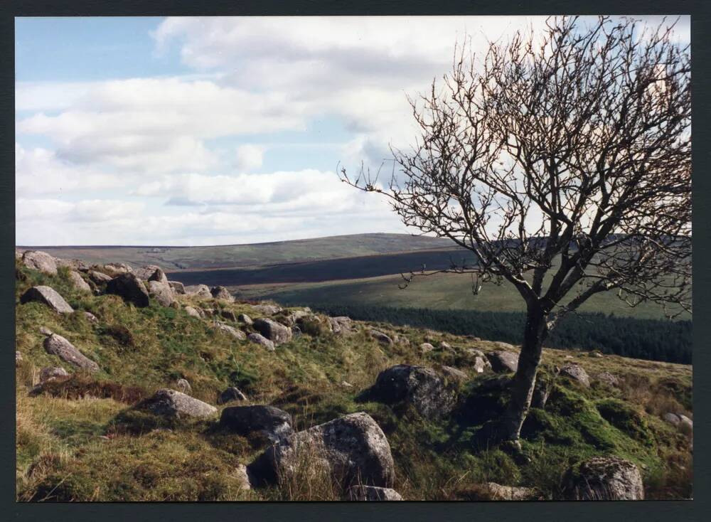 An image from the Dartmoor Trust Archive