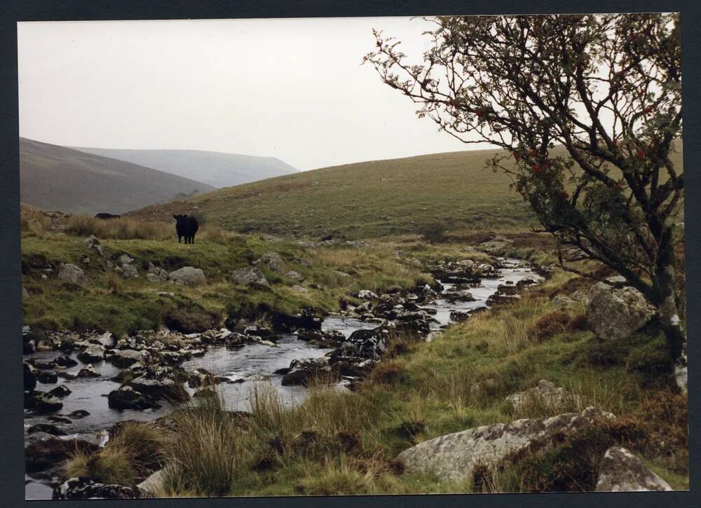 An image from the Dartmoor Trust Archive