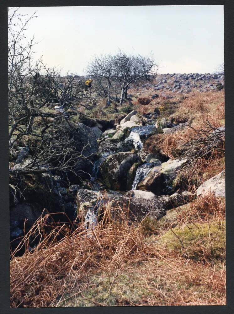 An image from the Dartmoor Trust Archive