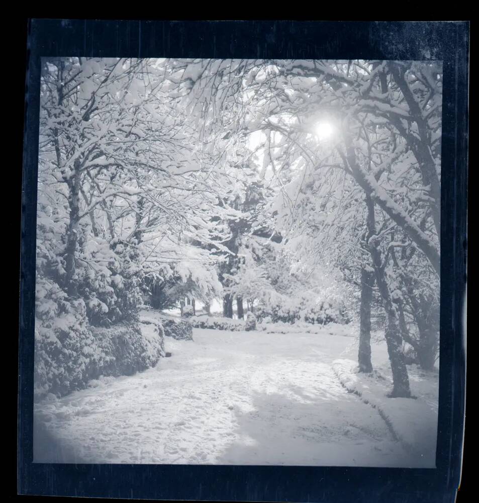 An image from the Dartmoor Trust Archive